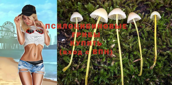 метадон Армянск