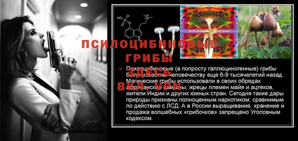 тгк Аркадак