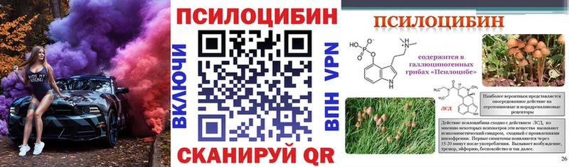 Псилоцибиновые грибы Cubensis  Ухта 